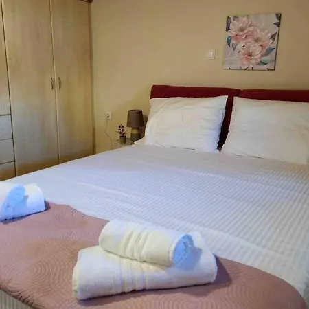 “marko's Center Beautiful House”